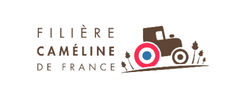 Filiere cameline fond blanc