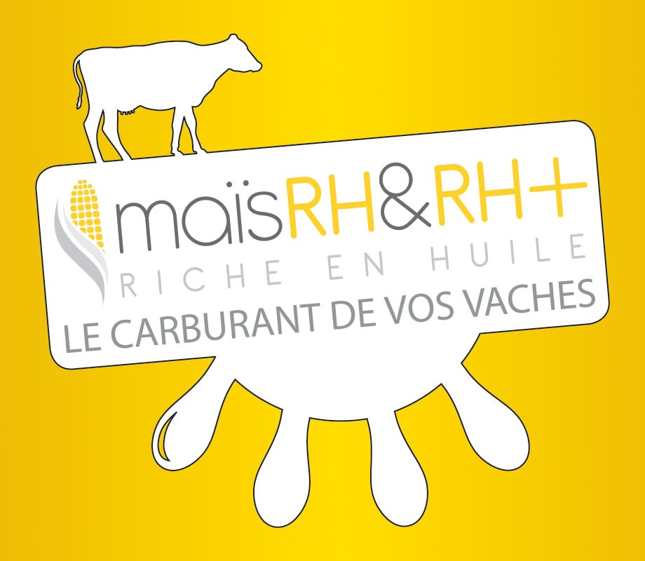 Maïs RH & RH+ - Le carburant de vos vaches