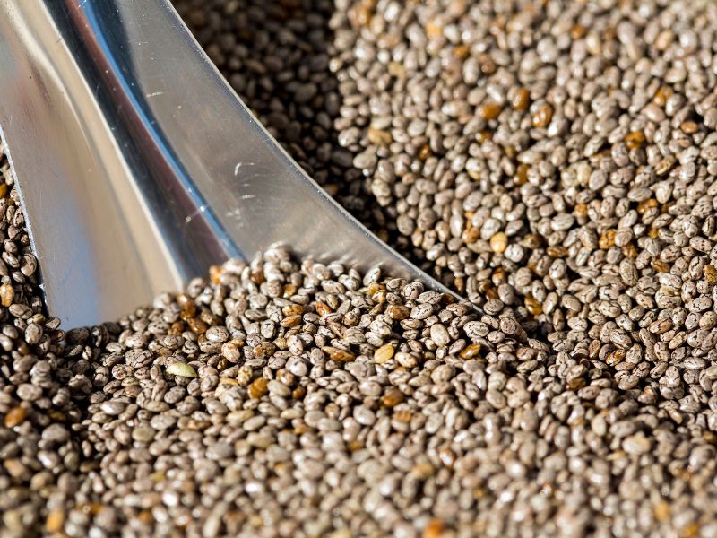 Panam autres innovations vegetales chia 2